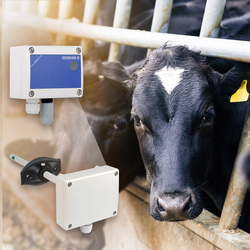 Ефективна вентилационна система при отглеждането на добитък