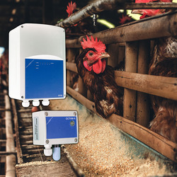 Efficient ventilation system in livestock farming