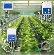 La ventilación en invernaderos: un factor clave para cultivos eficientes y sostenibles