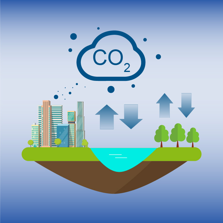 Imagen de ciclo de CO2