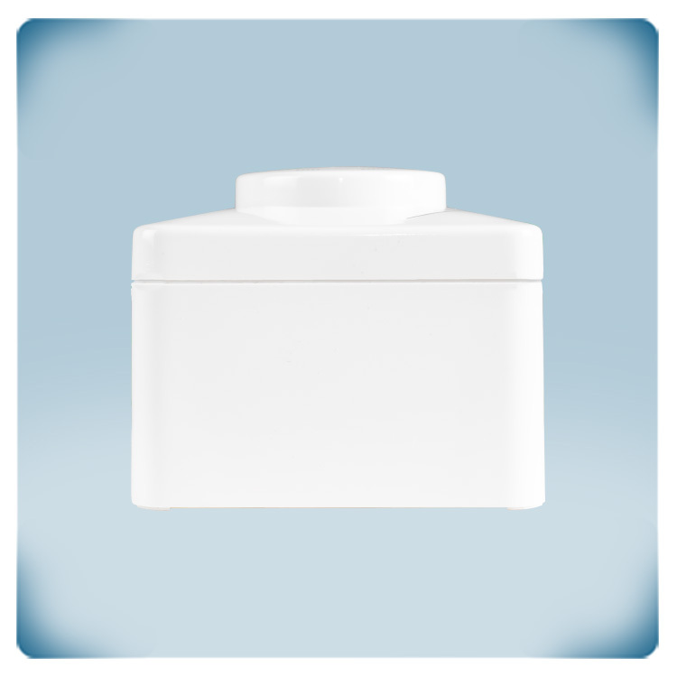 Boîtier en plastique blanc avec bouton