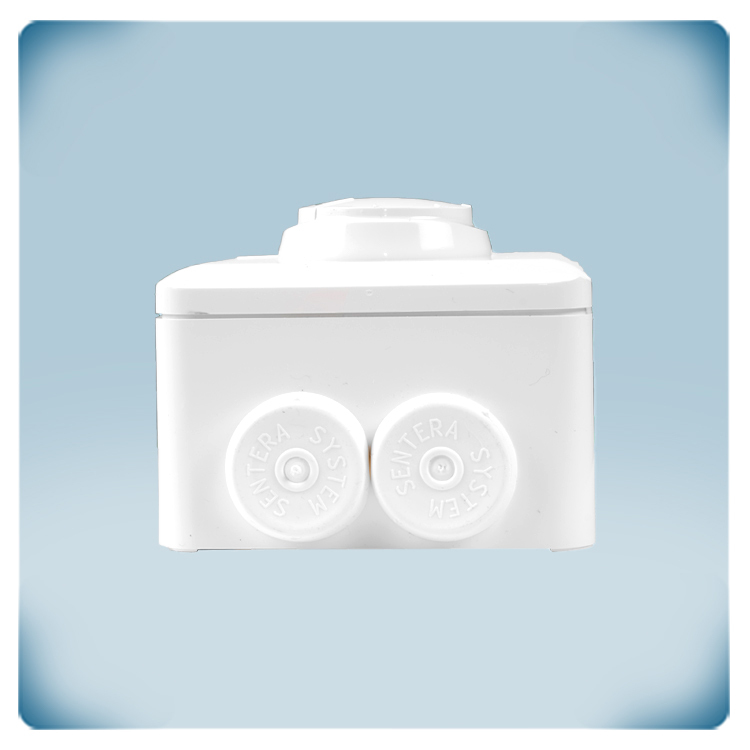 Boîtier en plastique gris clair avec bouton et presse-étoupes