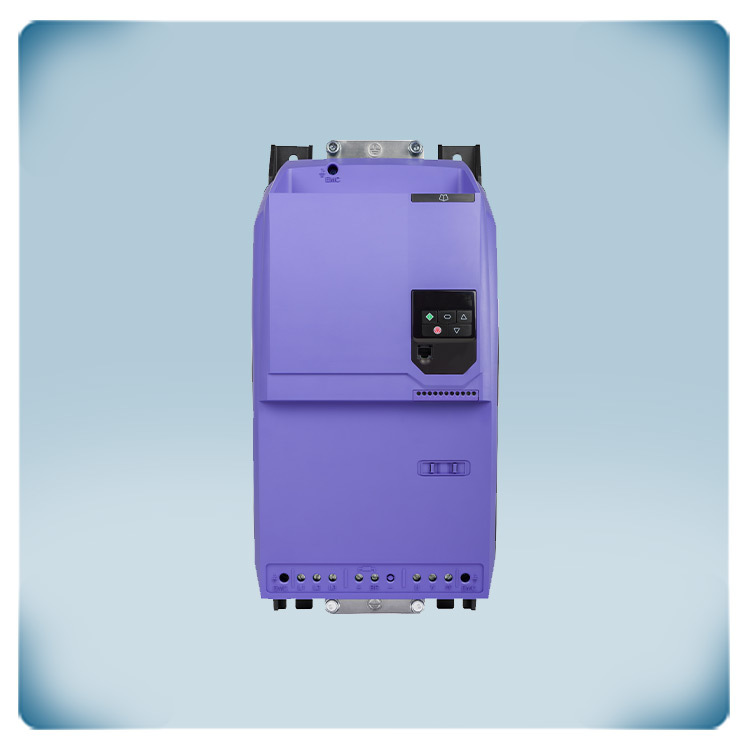 Custodia in plastica viola con display e tastiera a 5 pulsanti