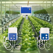 Profesjonalna i niezawodna wentylacja w szklarniach i cieplarniach