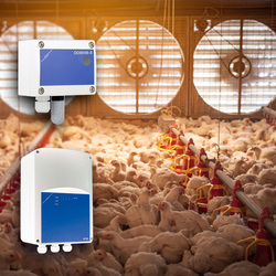 Вентиляционные системы в животноводческих помещениях