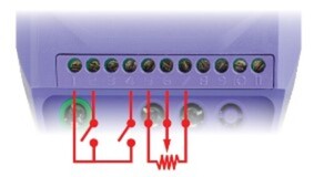 purple box with red lines