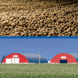 Рішення для контролю клімату в овочесховищах